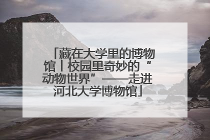藏在大学里的博物馆丨校园里奇妙的“动物世界”——走进河北大学博物馆