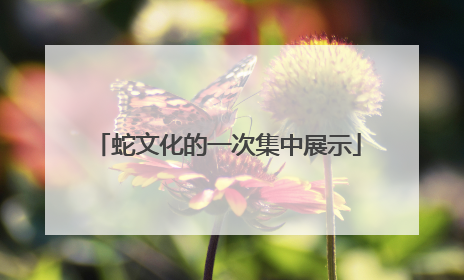 蛇文化的一次集中展示