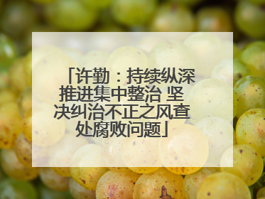 许勤：持续纵深推进集中整治 坚决纠治不正之风查处腐败问题