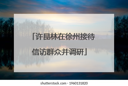 许昆林在徐州接待信访群众并调研