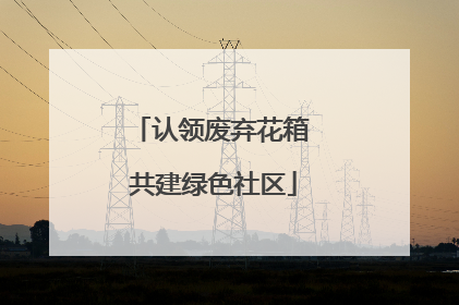 认领废弃花箱 共建绿色社区