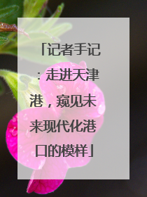 记者手记：走进天津港，窥见未来现代化港口的模样