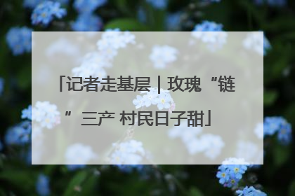 记者走基层｜玫瑰“链”三产 村民日子甜