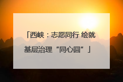 西峡：志愿同行 绘就基层治理“同心圆”