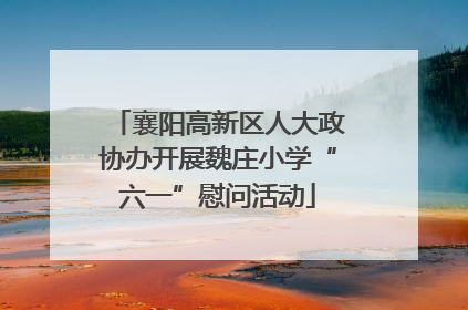 襄阳高新区人大政协办开展魏庄小学“六一”慰问活动