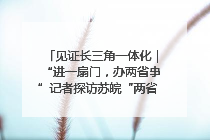 见证长三角一体化｜“进一扇门，办两省事”记者探访苏皖“两省一街”警务室