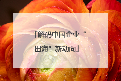 解码中国企业“出海”新动向