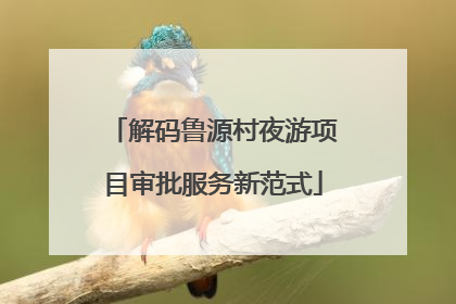 解码鲁源村夜游项目审批服务新范式