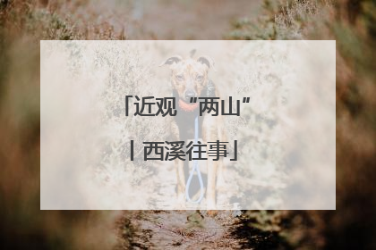 近观“两山”丨西溪往事
