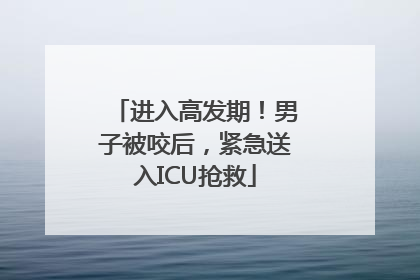 进入高发期！男子被咬后，紧急送入ICU抢救