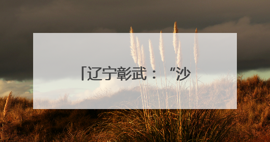 辽宁彰武：“沙窝子”焕新颜