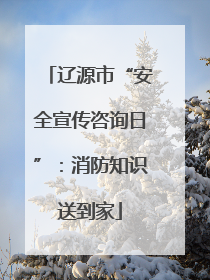 辽源市“安全宣传咨询日”：消防知识送到家