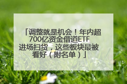调整就是机会！年内超700亿资金借道ETF进场扫货，这些板块最被看好（附名单）