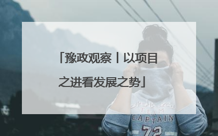 豫政观察丨以项目之进看发展之势