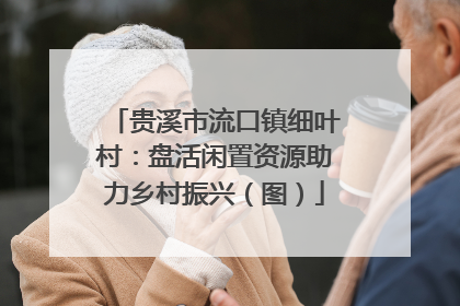 贵溪市流口镇细叶村：盘活闲置资源助力乡村振兴（图）