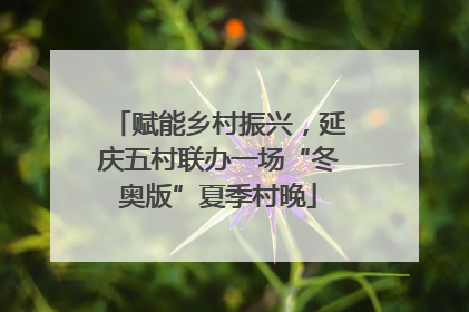 赋能乡村振兴，延庆五村联办一场“冬奥版”夏季村晚