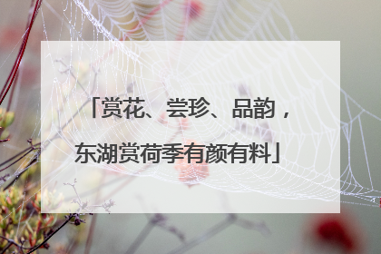 赏花、尝珍、品韵，东湖赏荷季有颜有料