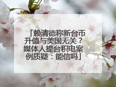 赖清德称新台币升值与美国无关？媒体人提台积电案例质疑：能信吗