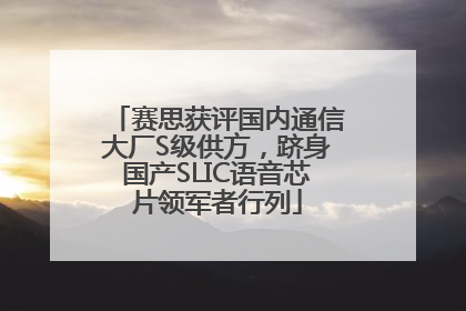 赛思获评国内通信大厂S级供方，跻身国产SLIC语音芯片领军者行列