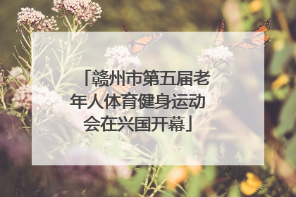 赣州市第五届老年人体育健身运动会在兴国开幕