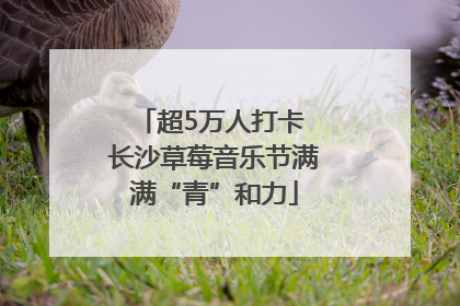 超5万人打卡 长沙草莓音乐节满满“青”和力