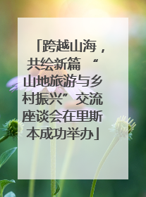跨越山海，共绘新篇 “山地旅游与乡村振兴”交流座谈会在里斯本成功举办
