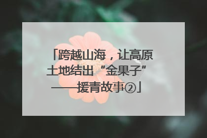跨越山海，让高原土地结出“金果子”——援青故事②