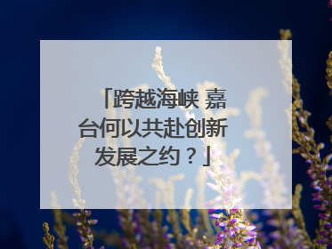 跨越海峡 嘉台何以共赴创新发展之约？