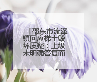 邵东市流泽镇回应梯土毁坏质疑：上级未明确答复而未开工
