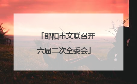 邵阳市文联召开六届二次全委会