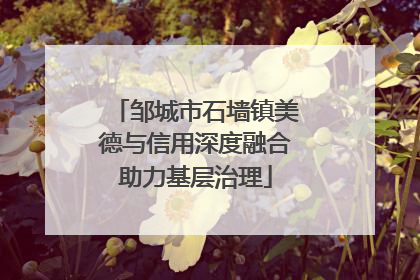 邹城市石墙镇美德与信用深度融合助力基层治理
