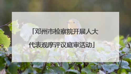 邓州市检察院开展人大代表观摩评议庭审活动
