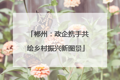 郴州：政企携手共绘乡村振兴新图景