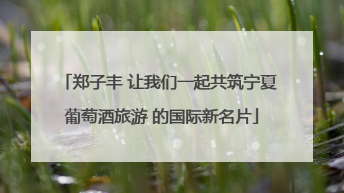 郑子丰 让我们一起共筑宁夏葡萄酒旅游 的国际新名片