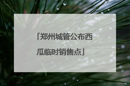 郑州城管公布西瓜临时销售点