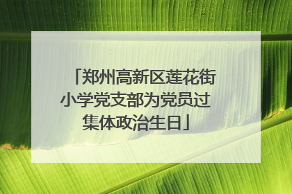 郑州高新区莲花街小学党支部为党员过集体政治生日