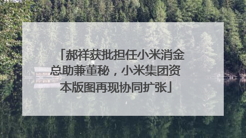 郝祥获批担任小米消金总助兼董秘，小米集团资本版图再现协同扩张