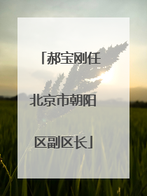郝宝刚任北京市朝阳区副区长