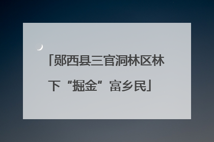 郧西县三官洞林区林下“掘金”富乡民
