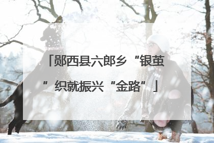郧西县六郎乡“银茧”织就振兴“金路”