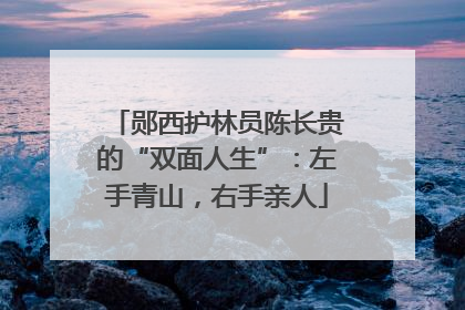 郧西护林员陈长贵的“双面人生”：左手青山，右手亲人