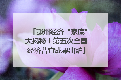 鄂州经济“家底”大揭秘！第五次全国经济普查成果出炉