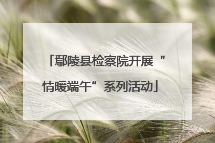 鄢陵县检察院开展“情暖端午”系列活动