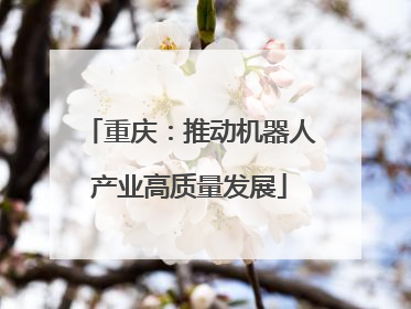 重庆：推动机器人产业高质量发展