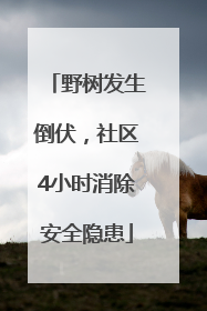野树发生倒伏，社区4小时消除安全隐患