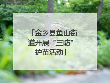 金乡县鱼山街道开展“三防”护苗活动