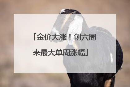 金价大涨！创六周来最大单周涨幅