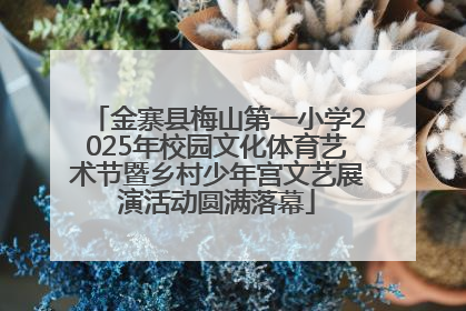 金寨县梅山第一小学2025年校园文化体育艺术节暨乡村少年宫文艺展演活动圆满落幕