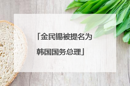 金民锡被提名为韩国国务总理