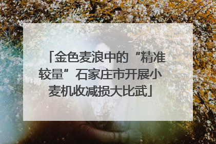 金色麦浪中的“精准较量”石家庄市开展小麦机收减损大比武